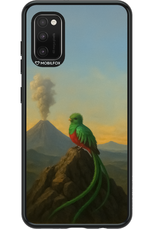 Birdy 2.0 - Samsung Galaxy A41