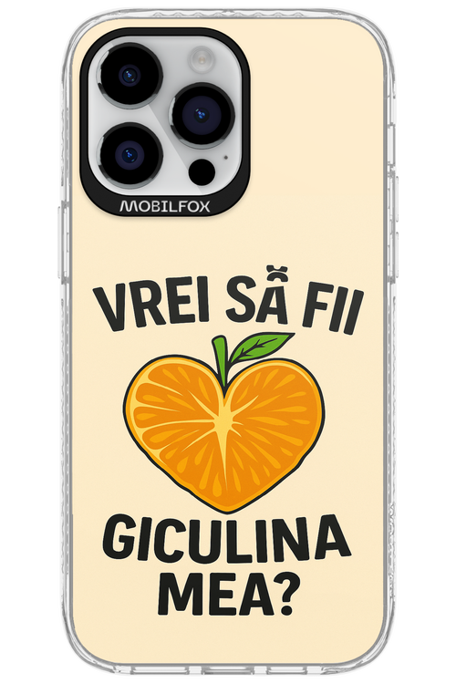 Design Clean 2.0 - Apple iPhone 14 Pro Max