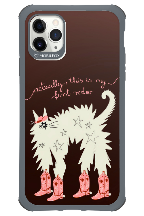 First rodeo 2.0 - Apple iPhone 11 Pro Max