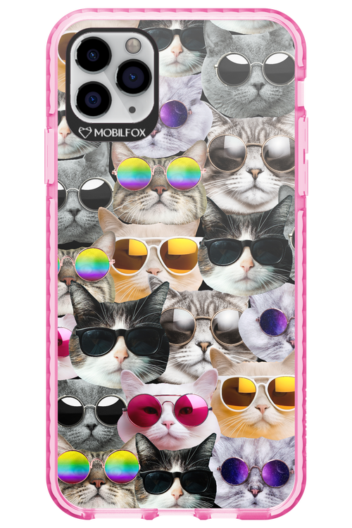 Cat World - Apple iPhone 11 Pro Max