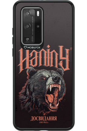 Bear Attack - Huawei P40 Pro