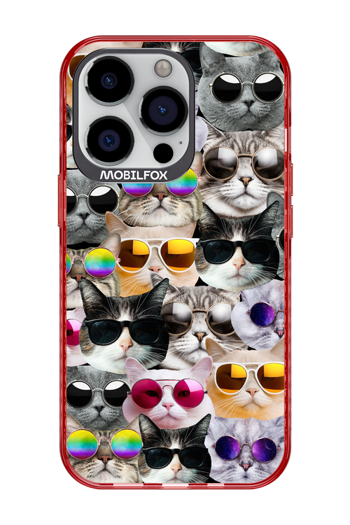 Cat World - Apple iPhone 13 Pro