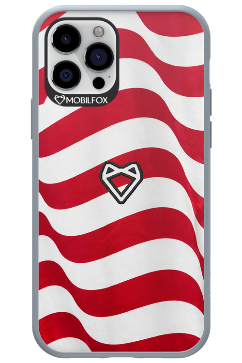 USA 2.0 - Apple iPhone 12 Pro