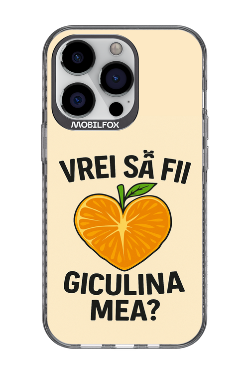 Design Clean 2.0 - Apple iPhone 13 Pro