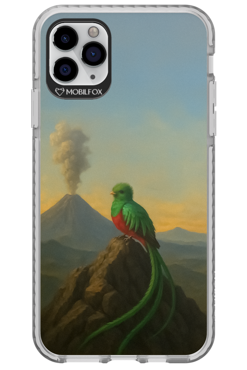 Birdy 2.0 - Apple iPhone 11 Pro Max