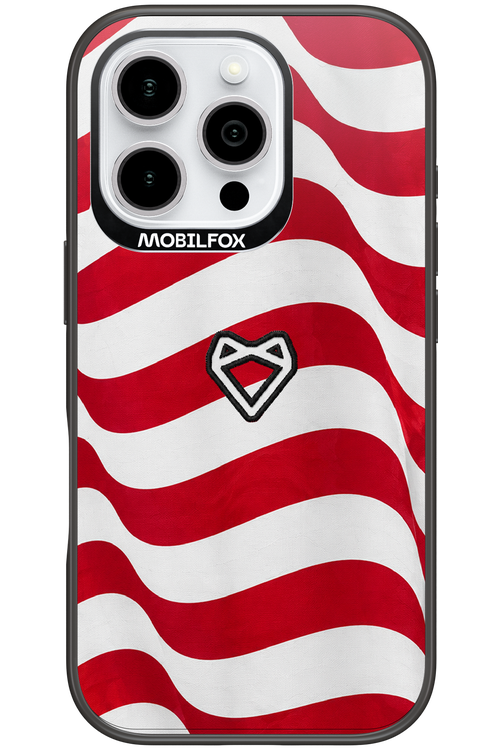 USA 2.0 - Apple iPhone 16 Pro