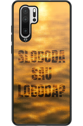 S or L - Huawei P30 Pro