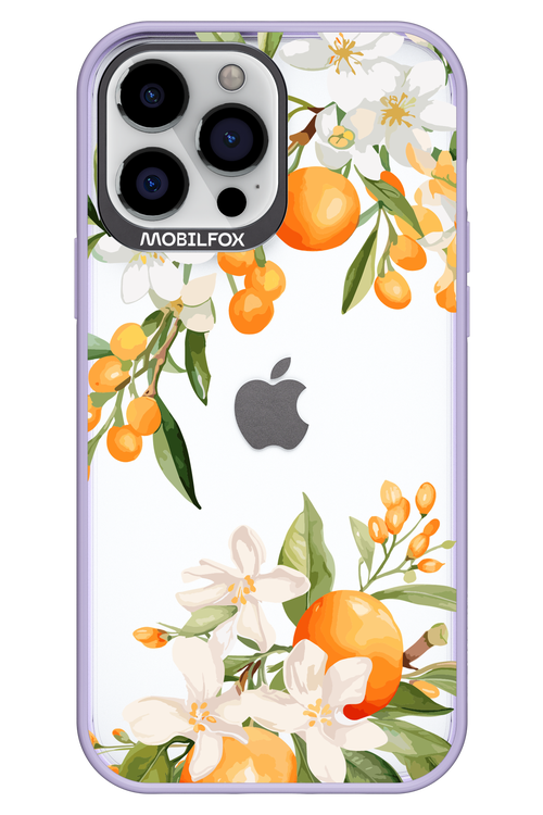 Amalfi Orange 2.0 - Apple iPhone 13 Pro Max