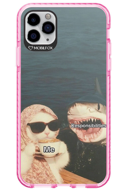 Responsibilities - Apple iPhone 11 Pro Max