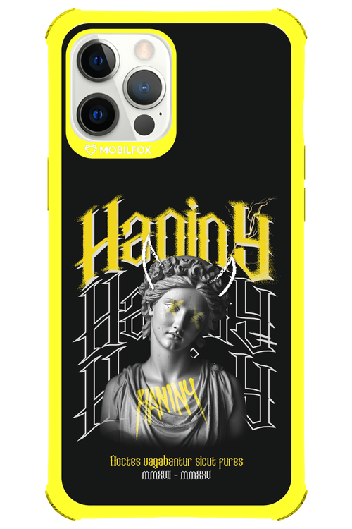 Haniny Icon (black) - Apple iPhone 12 Pro Max