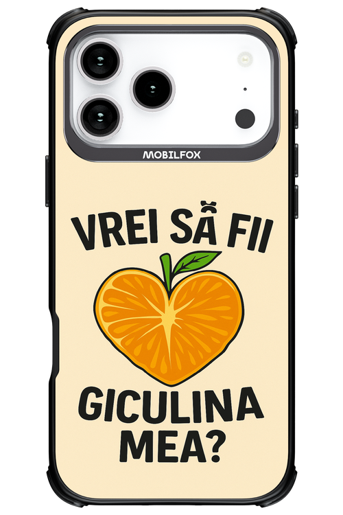 Design Clean 2.0 - Apple iPhone 17 Pro Max