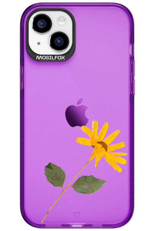 Pressed Flower - Apple iPhone 15 Plus
