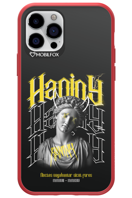 Haniny Icon (black) - Apple iPhone 12 Pro
