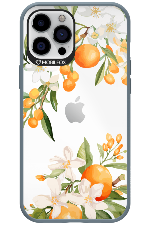 Amalfi Orange 2.0 - Apple iPhone 12 Pro Max