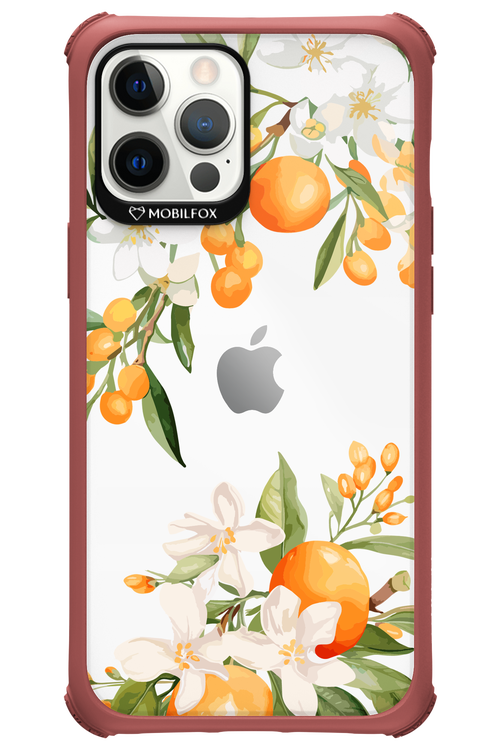 Amalfi Orange 2.0 - Apple iPhone 12 Pro Max