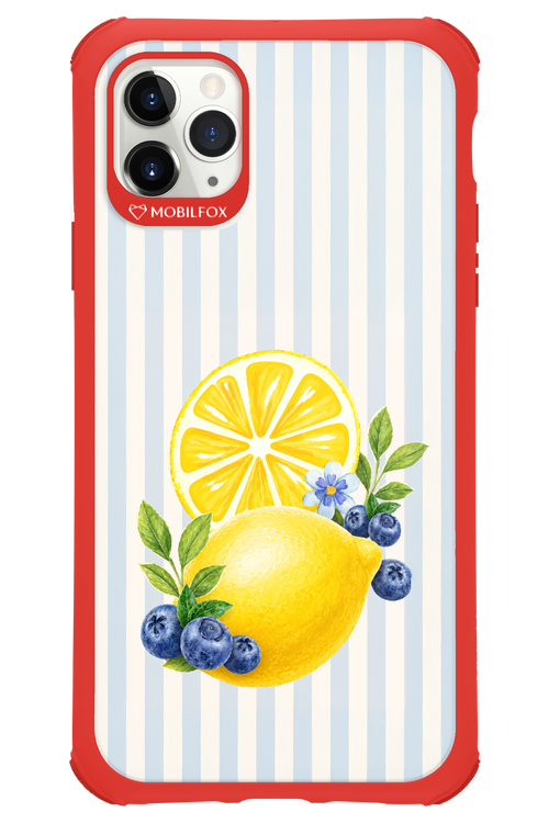 Fresh Flash 2.0 - Apple iPhone 11 Pro Max