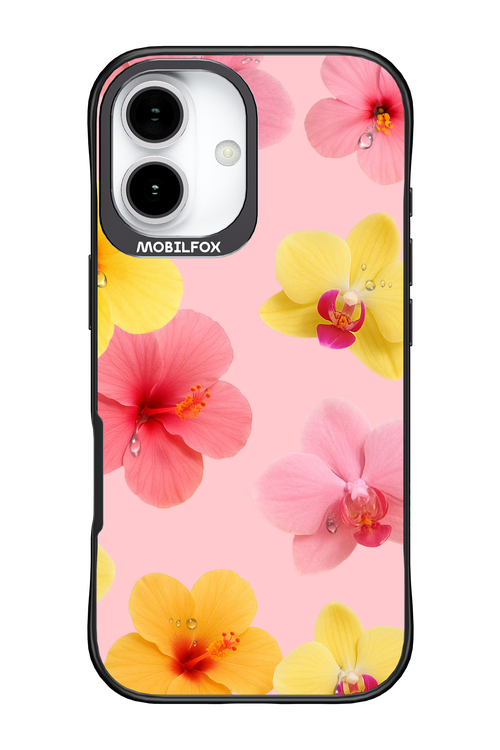 Sunset Flowers - Apple iPhone 17