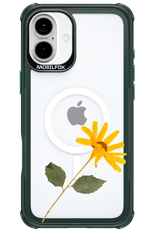Pressed Flower - Apple iPhone 16 Plus