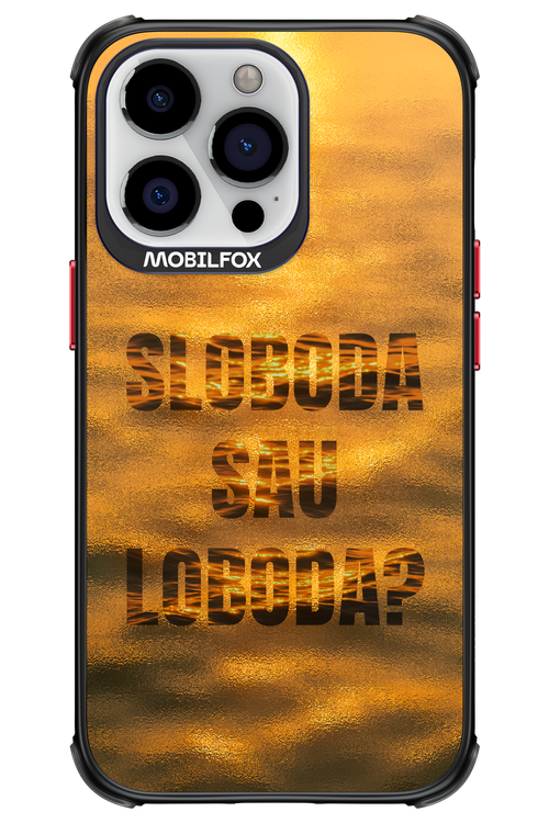 S or L - Apple iPhone 13 Pro
