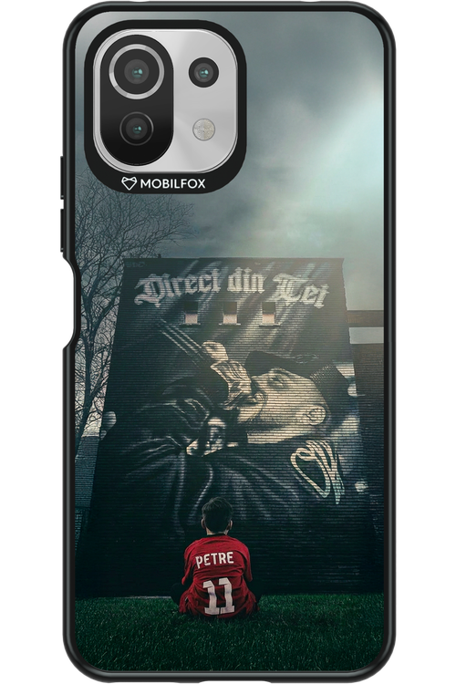 Direct Din Tei Artwork 2.0 - Xiaomi Mi 11 Lite (2021)