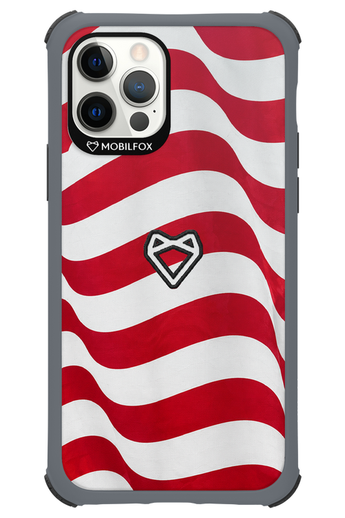 USA 2.0 - Apple iPhone 12 Pro
