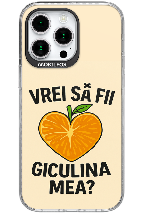 Design Clean 2.0 - Apple iPhone 15 Pro Max