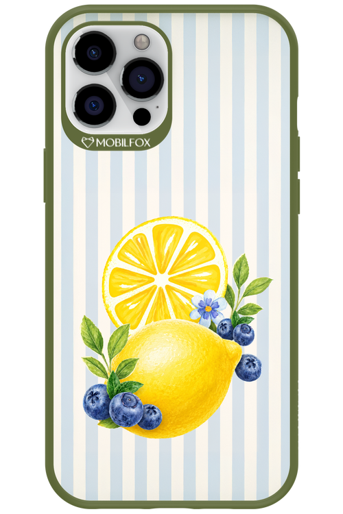 Fresh Flash 2.0 - Apple iPhone 12 Pro Max