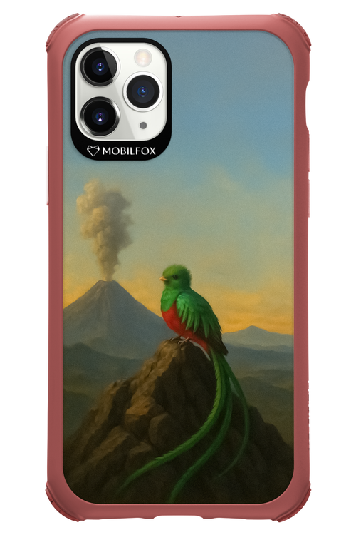 Birdy 2.0 - Apple iPhone 11 Pro