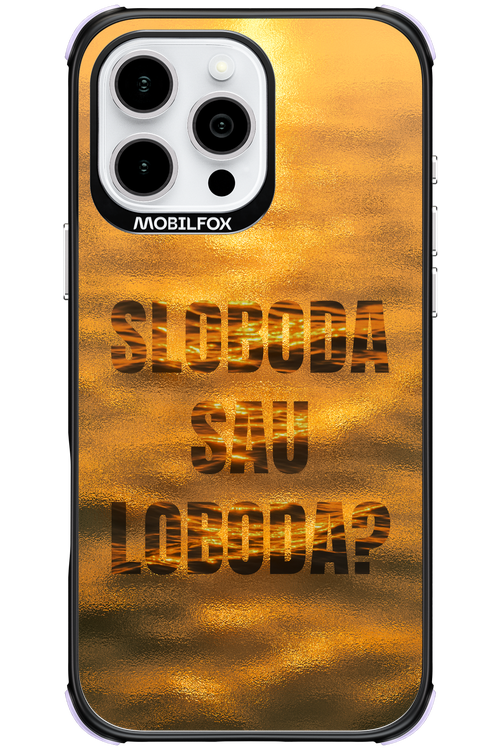 S or L - Apple iPhone 16 Pro Max
