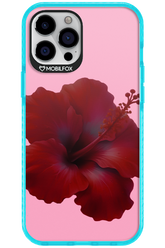 HibiGundy - Apple iPhone 12 Pro Max