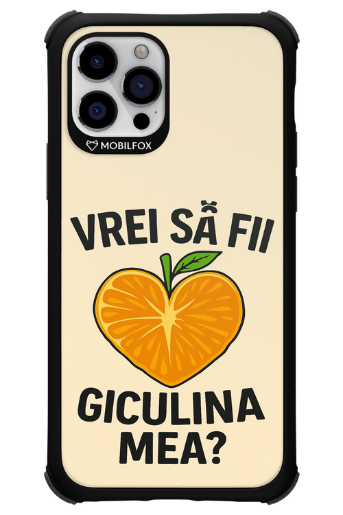 Design Clean 2.0 - Apple iPhone 12 Pro