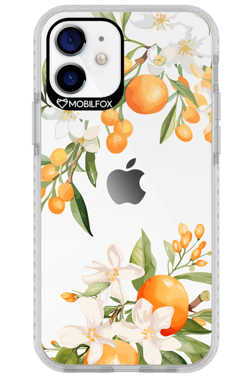 Amalfi Orange 2.0 - Apple iPhone 12