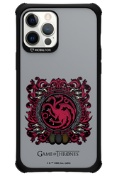 Fire and Blood. - Apple iPhone 12 Pro Max