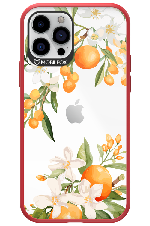 Amalfi Orange 2.0 - Apple iPhone 12 Pro