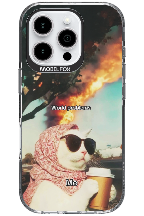World Problems - Apple iPhone 16 Pro