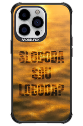 S or L - Apple iPhone 13 Pro