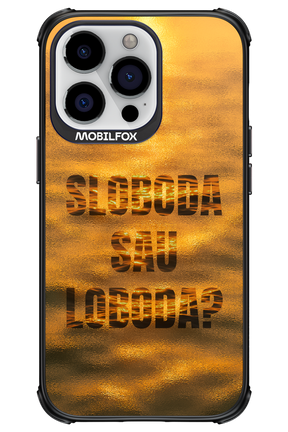 S or L - Apple iPhone 13 Pro