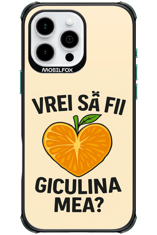 Design Clean 2.0 - Apple iPhone 16 Pro Max