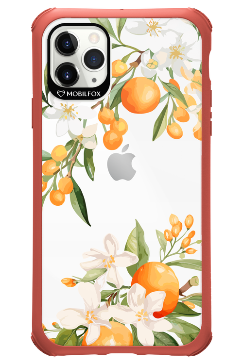 Amalfi Orange 2.0 - Apple iPhone 11 Pro Max