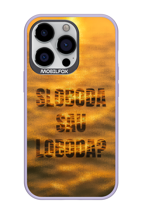 S or L - Apple iPhone 13 Pro