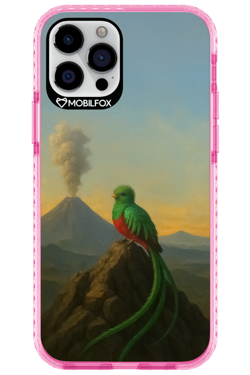 Birdy 2.0 - Apple iPhone 12 Pro