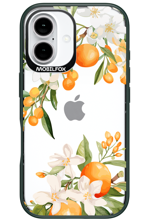 Amalfi Orange 2.0 - Apple iPhone 16