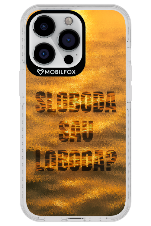 S or L - Apple iPhone 13 Pro