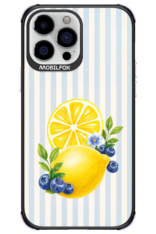 Fresh Flash 2.0 - Apple iPhone 13 Pro Max