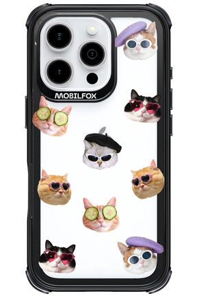 Cat Gang - Apple iPhone 16 Pro