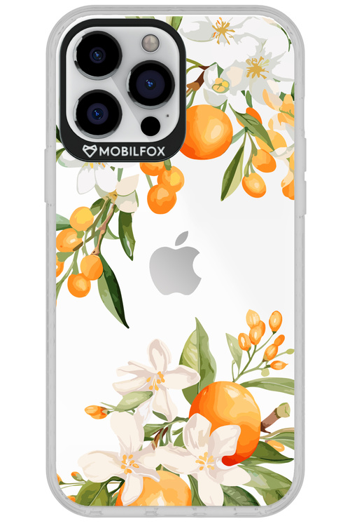Amalfi Orange 2.0 - Apple iPhone 13 Pro Max