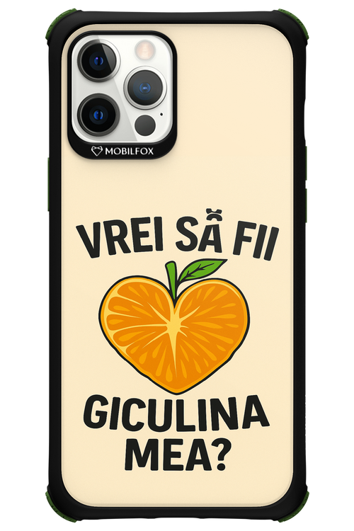 Design Clean 2.0 - Apple iPhone 12 Pro Max
