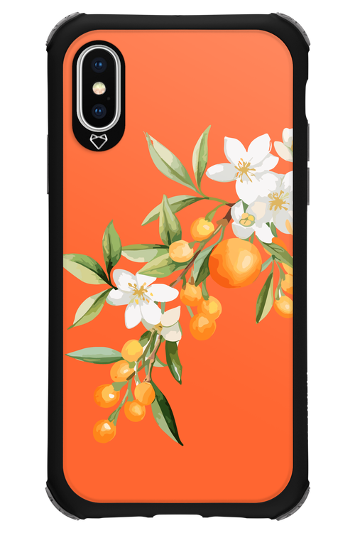 Amalfi Oranges - Apple iPhone XS