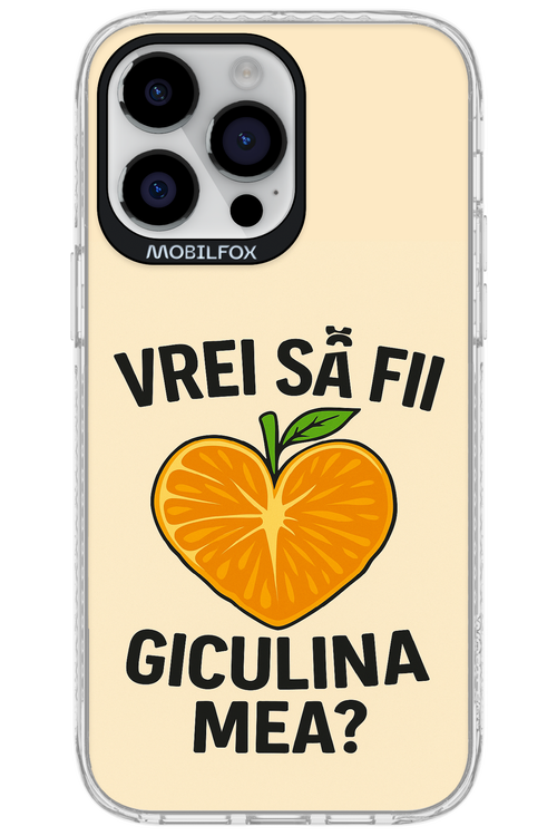 Design Clean 2.0 - Apple iPhone 14 Pro Max