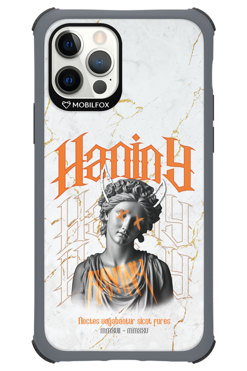 Haniny Icon (white) - Apple iPhone 12 Pro